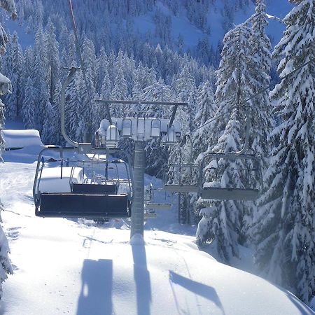 Haus Auni Metzgermeister Westendorf Exteriör bild