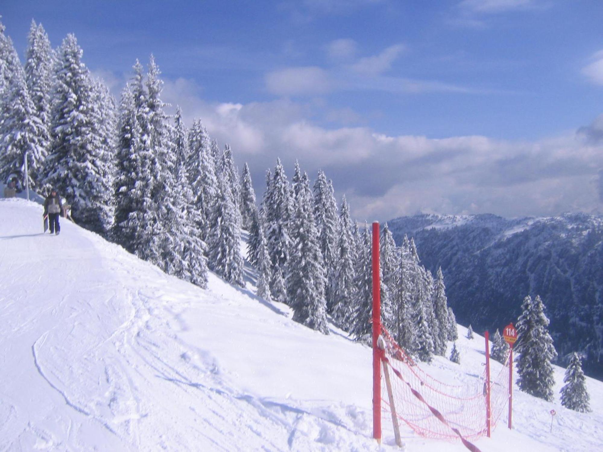 Haus Auni Metzgermeister Westendorf Exteriör bild